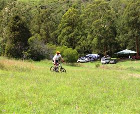 The Steps Mountain Bike Park - Sunshine Coast Tourism 1