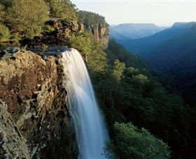 Fitzroy Falls - Sunshine Coast Tourism 0
