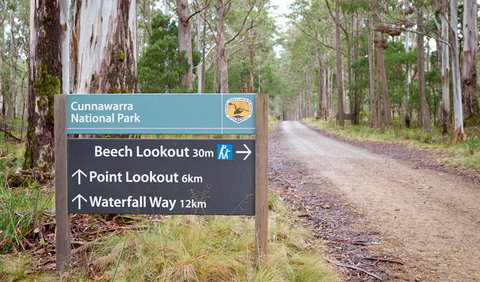 Beech Lookout - Sunshine Coast Tourism 0
