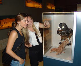 Pinnacles Desert Discovery Centre - Sunshine Coast Tourism 2