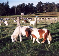 Trudgalong Farm