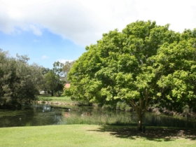 Hervey Bay Botanic Gardens - Sunshine Coast Tourism 0