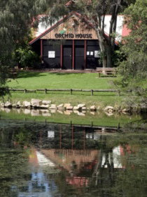 Hervey Bay Botanic Gardens - Sunshine Coast Tourism 1