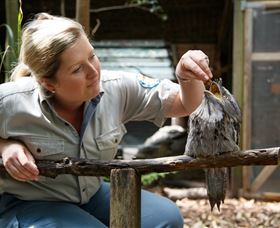 Walkabout Creek - Sunshine Coast Tourism 0