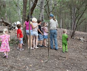 Walkabout Creek - Sunshine Coast Tourism 3