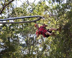 TreeTops Crazy Rider - Holiday Sunshine Coast 1