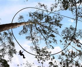 TreeTops Crazy Rider - Holiday Sunshine Coast 0