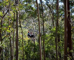 TreeTops Crazy Rider - Holiday Sunshine Coast 3