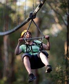 TreeTops Crazy Rider - Holiday Sunshine Coast 2