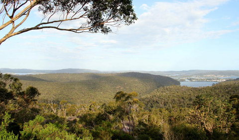 Staples Lookout - Sunshine Coast Tourism 1