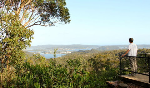 Staples Lookout - Sunshine Coast Tourism 2