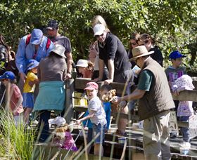 St Ives Precinct - Sunshine Coast Tourism 1
