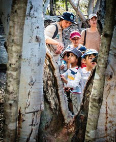 St Ives Precinct - Sunshine Coast Tourism 3