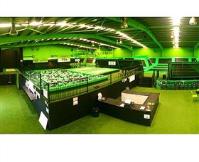 Flip Out Gosford - Holiday Sunshine Coast 1