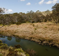 Werrikimbe National Park - Sunshine Coast Tourism