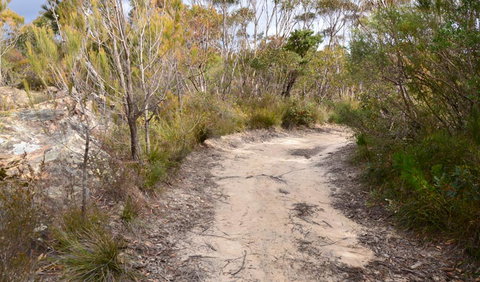 Cambewarra Range Nature Reserve - Holiday Sunshine Coast 1