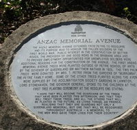 Anzac Memorial Avenue Redcliffe