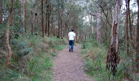 Lake Macquarie State Conservation Area - Holiday Sunshine Coast 3