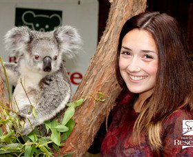 Blackbutt Reserve - Holiday Sunshine Coast 0