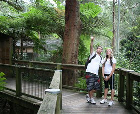 Blackbutt Reserve - Holiday Sunshine Coast 1