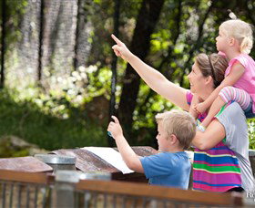 Blackbutt Reserve - Holiday Sunshine Coast 4