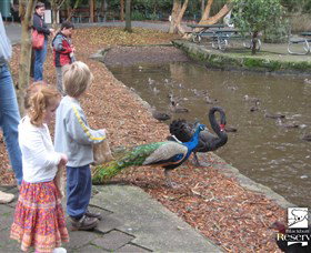 Blackbutt Reserve - Holiday Sunshine Coast 5