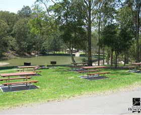 Blackbutt Reserve - Holiday Sunshine Coast 7