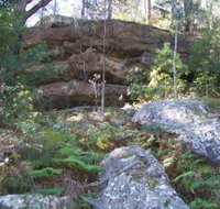 Bens Walk - Sunshine Coast Tourism