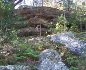 Bens Walk - Sunshine Coast Tourism 0