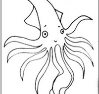 Squid Studio - Sunshine Coast Tourism