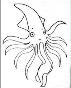 Squid Studio - Sunshine Coast Tourism 0