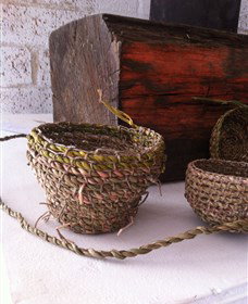 Squid Studio - Sunshine Coast Tourism 1