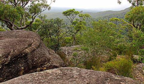 Pigeon House Mountain Didthul Walking Track - Holiday Sunshine Coast 1