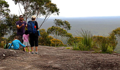 Pigeon House Mountain Didthul Walking Track - Holiday Sunshine Coast 2