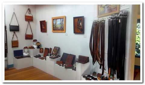 Ferry Park Gallery - Sunshine Coast Tourism 5