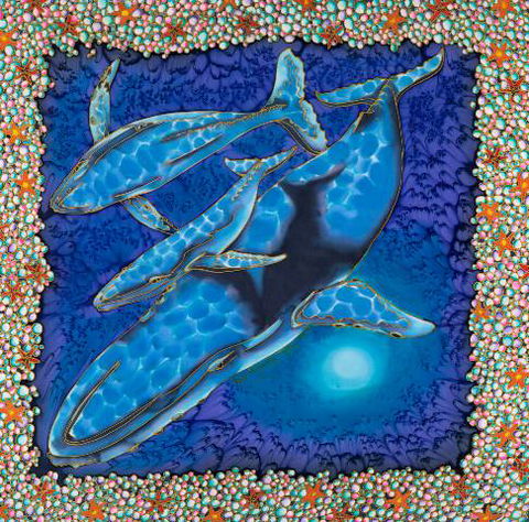 Sea Silks Gallery - Holiday Sunshine Coast 2