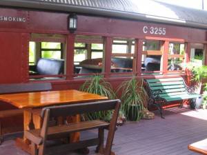 Red Rattlers Gallery - Sunshine Coast Tourism 5