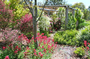 Ivy Hill Gallery - Sunshine Coast Tourism 6