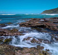 Wyrrabalong National Park - Holiday Sunshine Coast