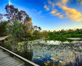 Berrinba Wetlands - Sunshine Coast Tourism 0