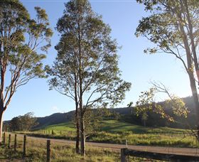 Tourist Drive 2 - Bucketts Way - Sunshine Coast Tourism 1