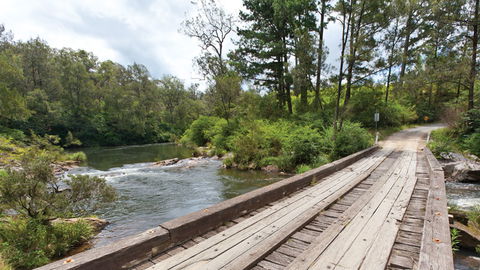 Nymboi-Binderay National Park - Sunshine Coast Tourism 2
