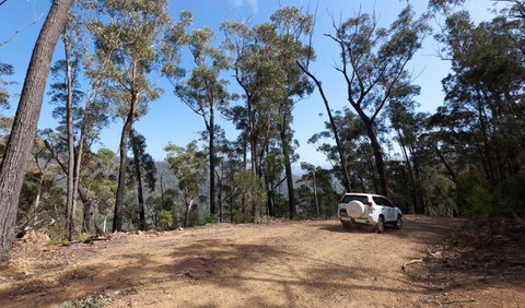 Wadbilliga Road Drive - Sunshine Coast Tourism 0