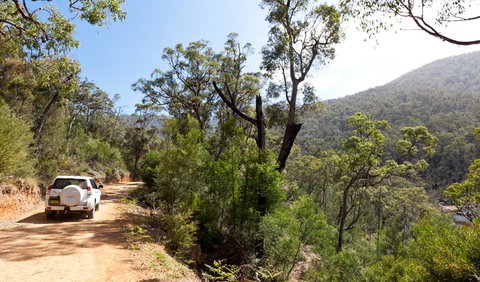 Wadbilliga Road Drive - Sunshine Coast Tourism 1