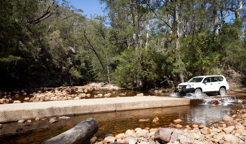 Wadbilliga Road Drive - Sunshine Coast Tourism 2