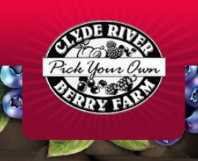 Clyde River Berry Farm - Sunshine Coast Tourism 0
