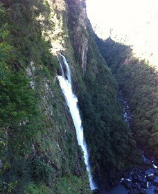 Ellenborough Falls - Holiday Sunshine Coast 0