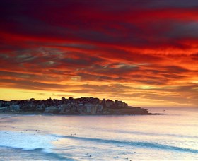 Aquabumps - Sunshine Coast Tourism 8