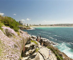 Bondi To Coogee Coastal Walk - Holiday Sunshine Coast 3