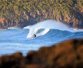 Killalea Beach - Sunshine Coast Tourism 0